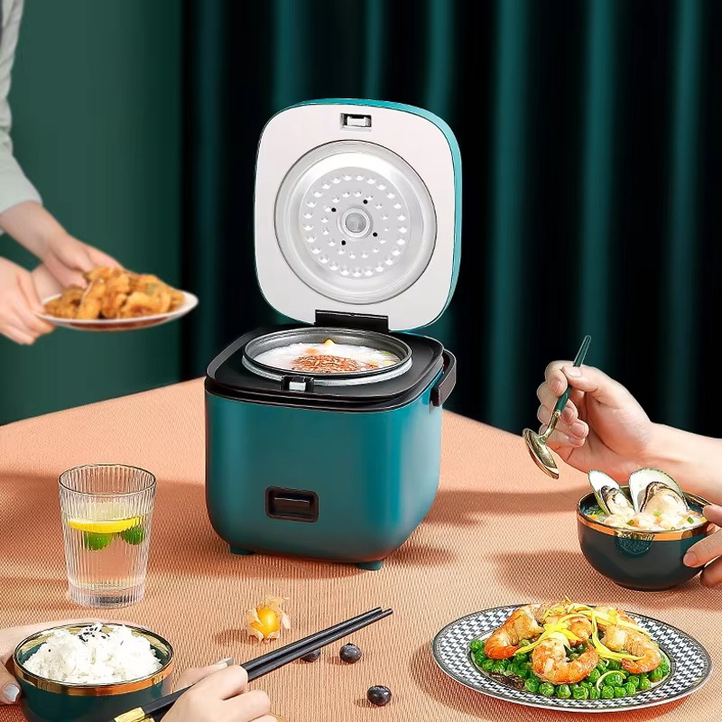 Mini Rice Cooker for People, Compact Electric Cooking Steamer