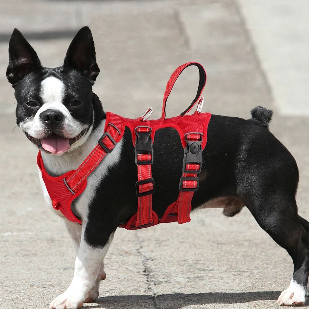 Waterproof Reflective Padded Dog Harness for Medium Large Dogs
