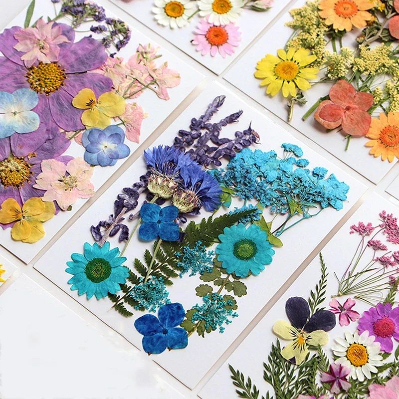 Natural Dried Flower Resin Fillers
