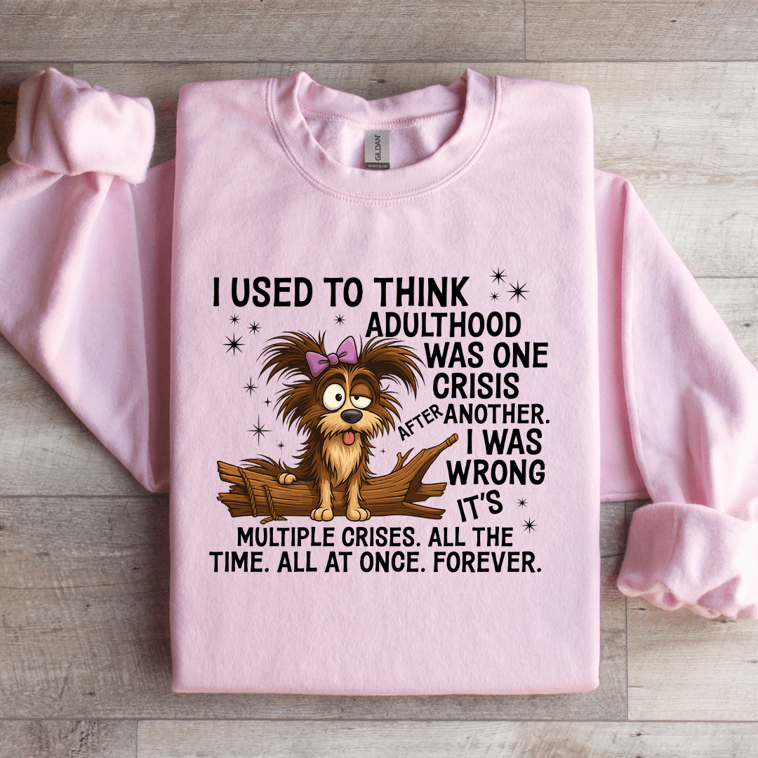 I Used To Think Adulthood Was One Crisis After Another Sweatshirt
