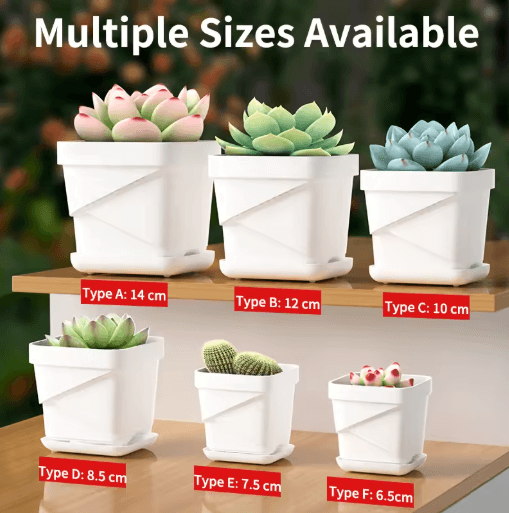 Square Ventilated Plastic Flower Pot Succulent Planter with Thick Drainage Tray