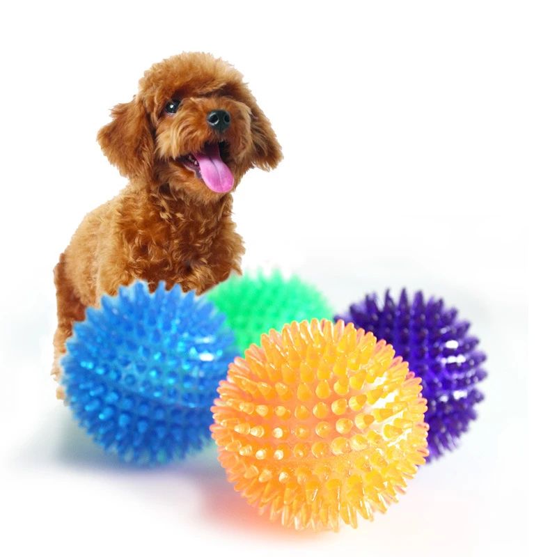 Squeaky Pet Chew Ball Toy