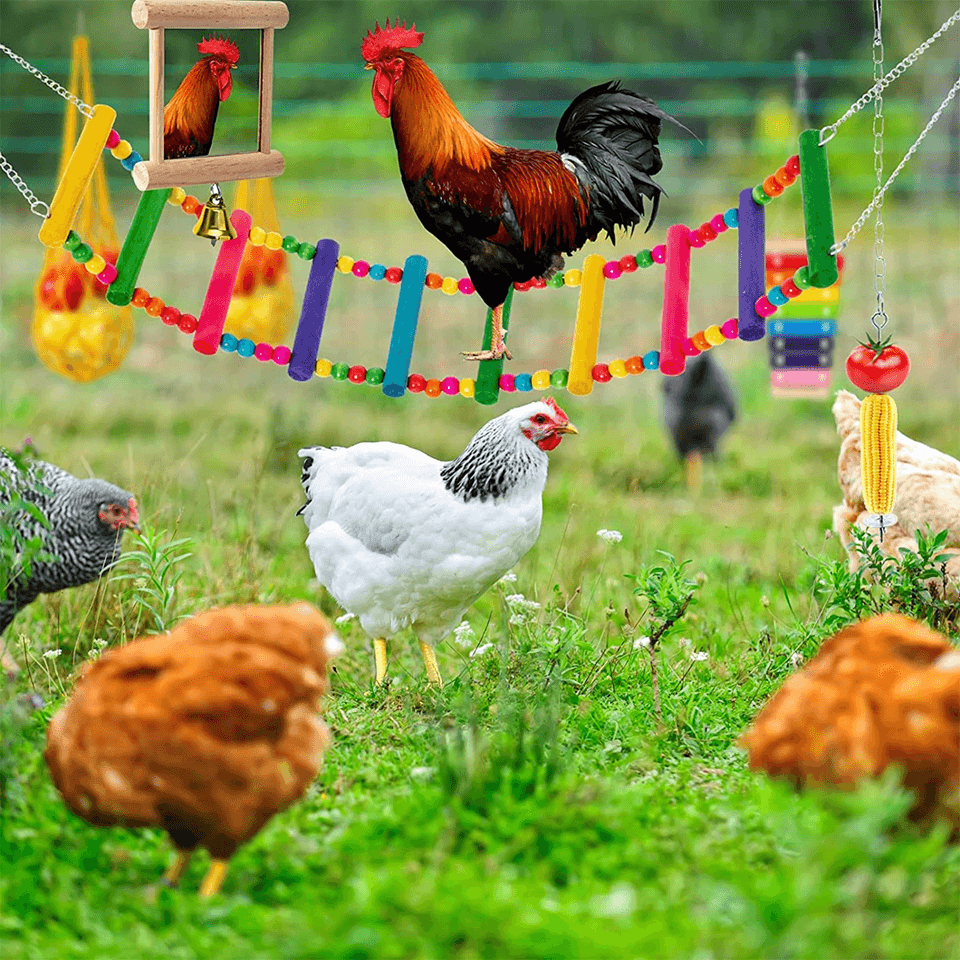 Chicken Foraging Toy Set Hanging Enrichment Toys for Poultry