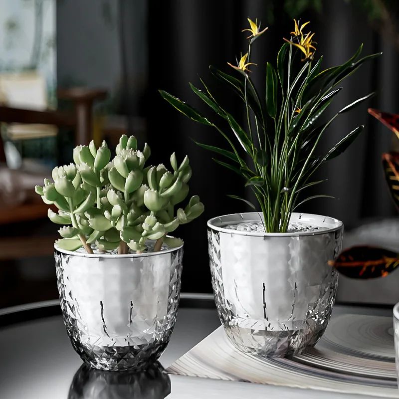 ClearView Self-Watering Planter Pot, Double Layer Transparent Pot for Succulents and Small Plants