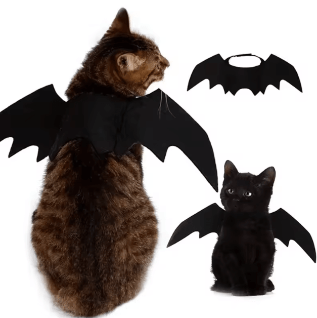BatBuddy Pet Bat Wings Costume – Cute Halloween Cosplay Harness for Cats & Dogs