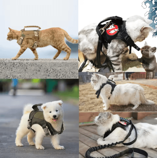 Tactical Escape-Proof Cat Harness with Control Handle