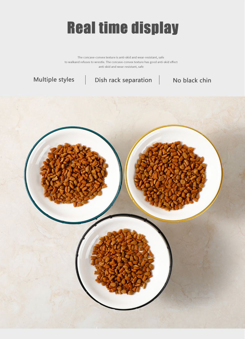 Elevated Ceramic Pet Food Bowl with Stand