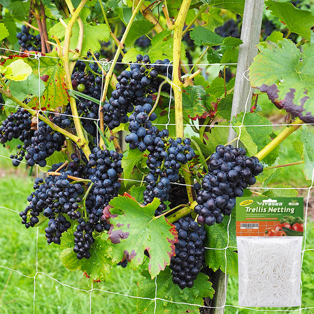 Trellis Netting for Climbing Plants, Heavy-Duty Garden Support Net for Vegetables, Flowers & Vine Orchard Tools
