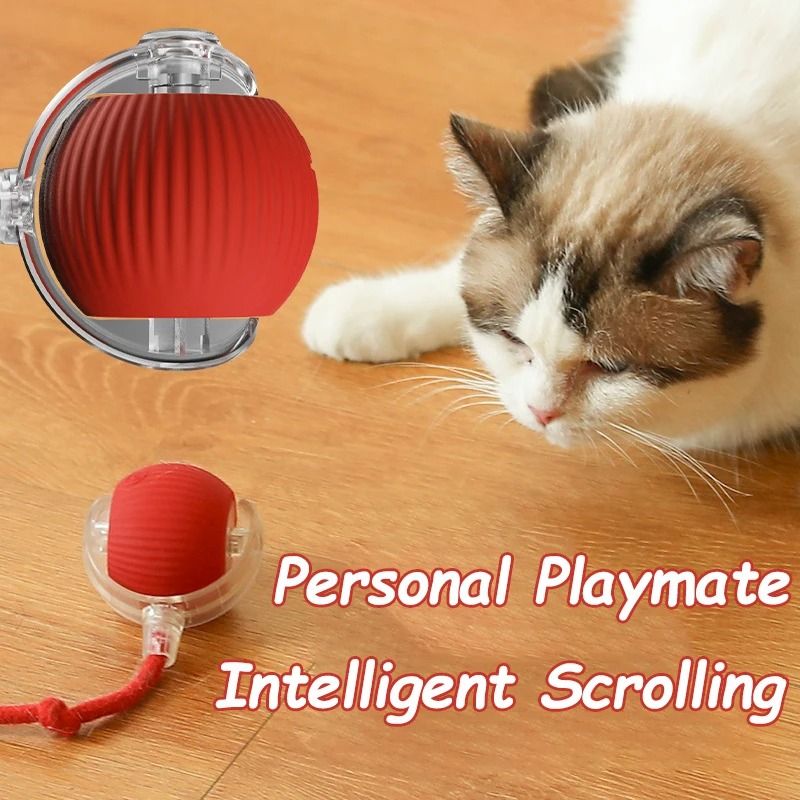 Cat Interactive Automatic Rolling Ball Toy