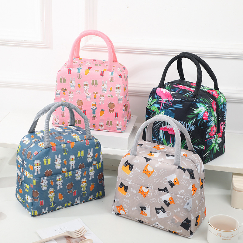 Large Capacity Insulated Lunch Bag for Kids Portable Thermal Lunch Box for School & Picnic