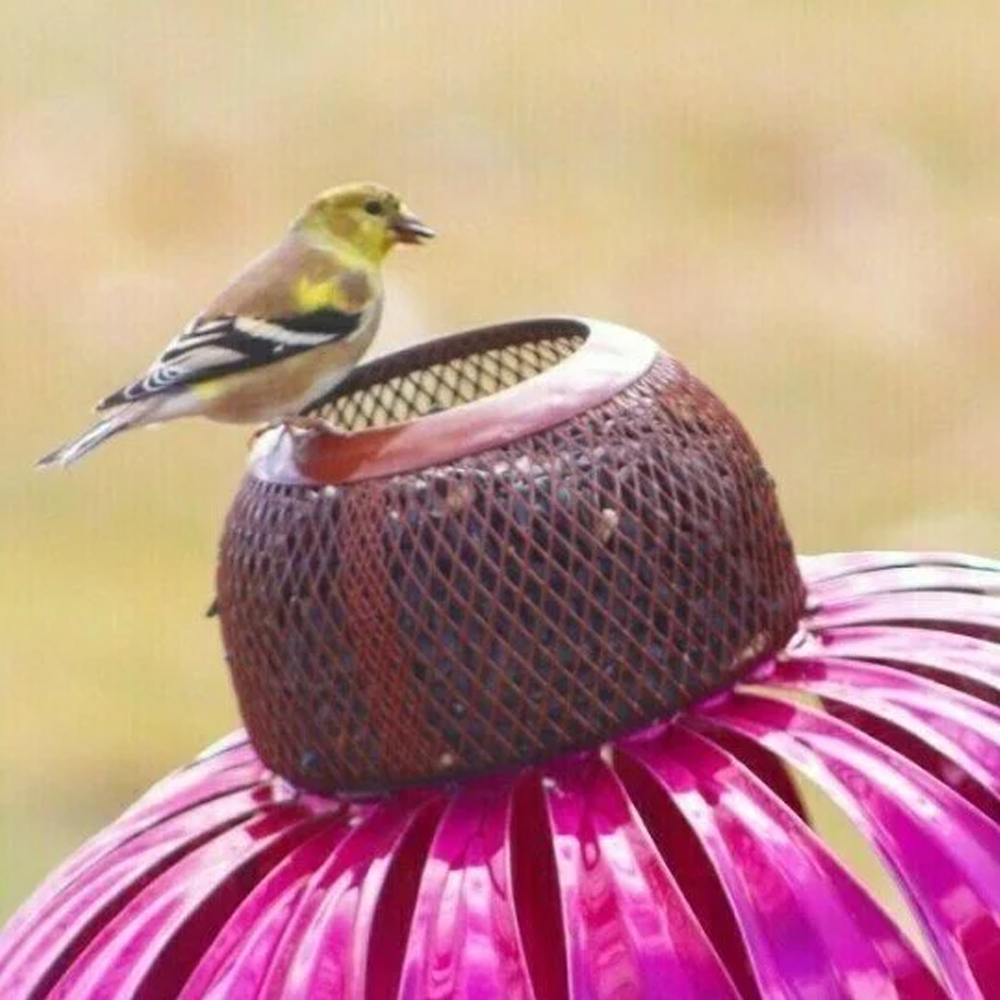 Coneflower Bird Feeder