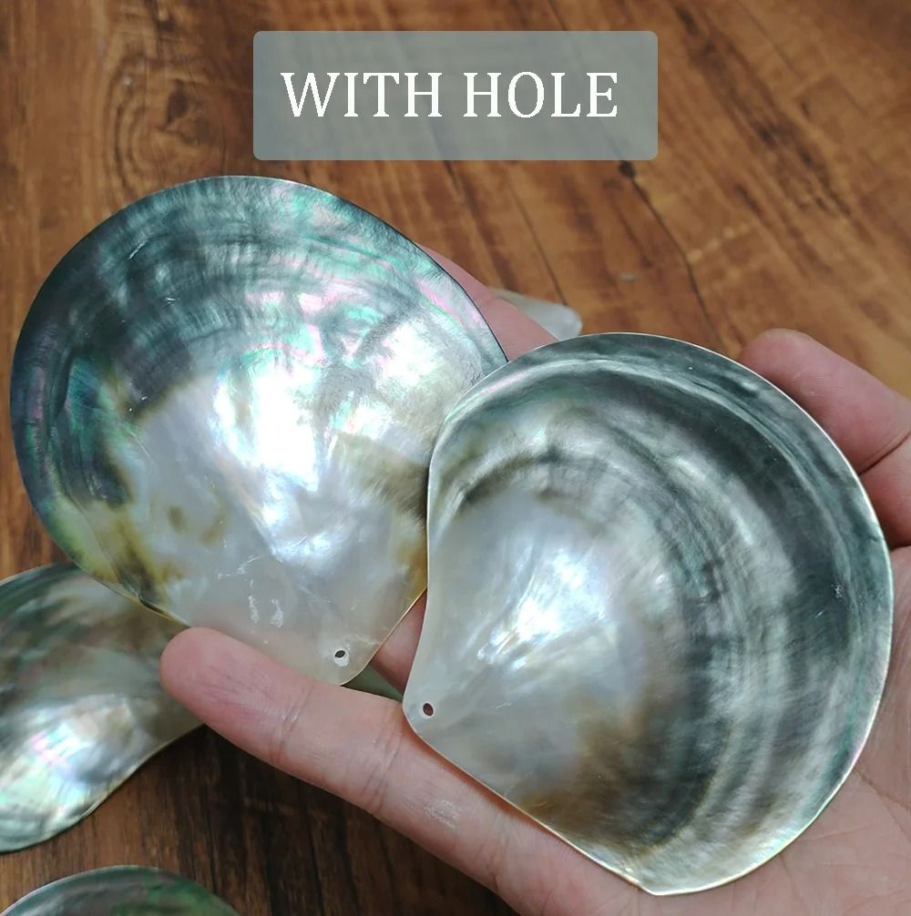 Black Mother of Pearl Shell Decor Natural Polished Sea Shells for DIY and Display