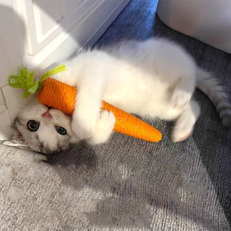 Interactive Cat Toy Carrot Sound Teething Stick Anti-Bite Scratching Board for Cats