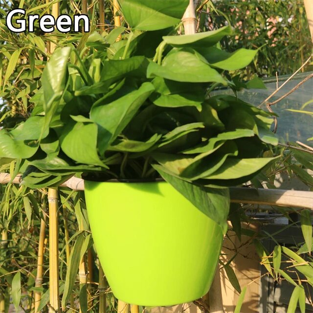 Self Watering Hanging Basket