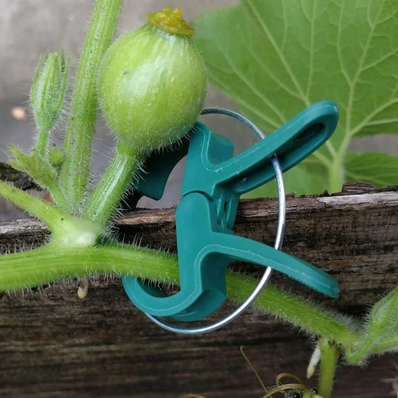 Adjustable Plant Clips for Garden Support