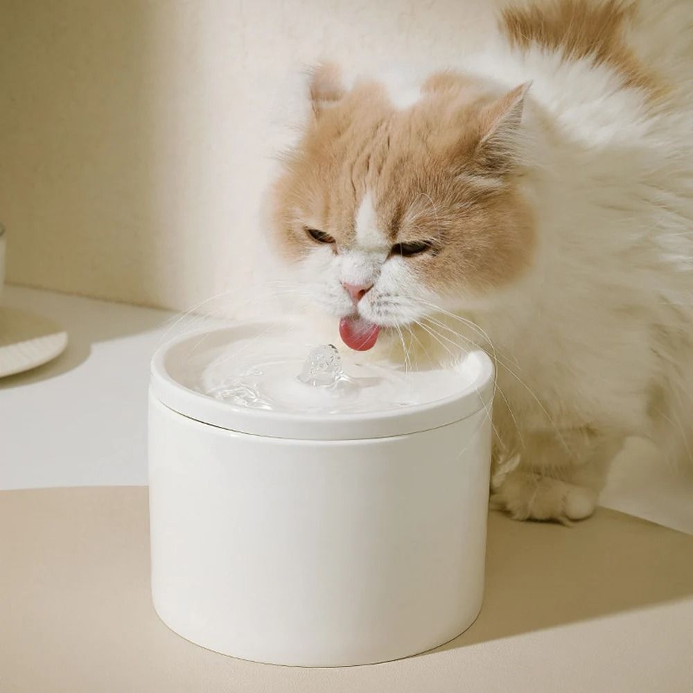 Automatic Cat Water Fountain Ceramic Bowl Circulating Pet Water Dispenser for Cats and Small Dogs