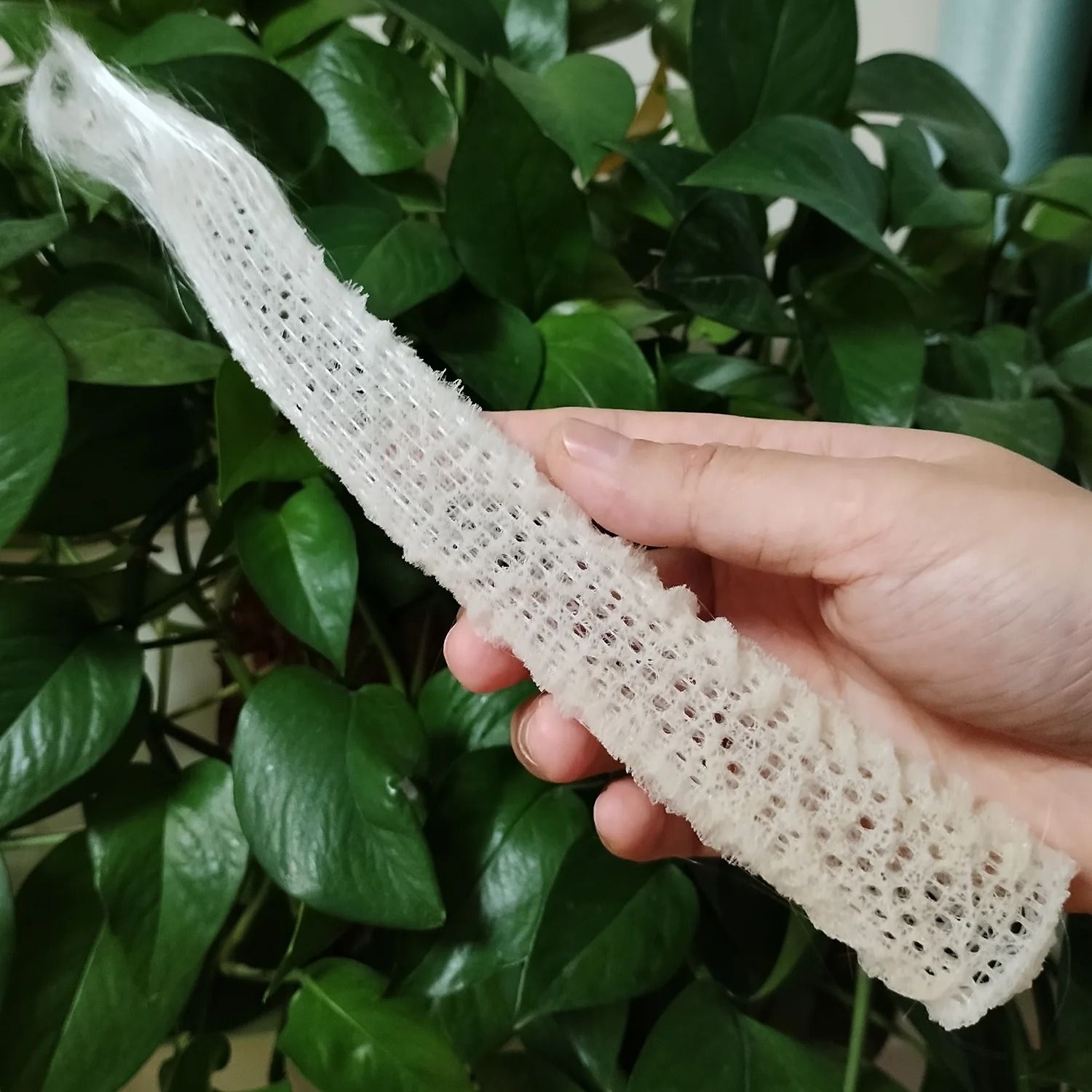 Natural Venus Flower Basket Sponge | Rare Euplectella Sea Porifera Ocean Specimen