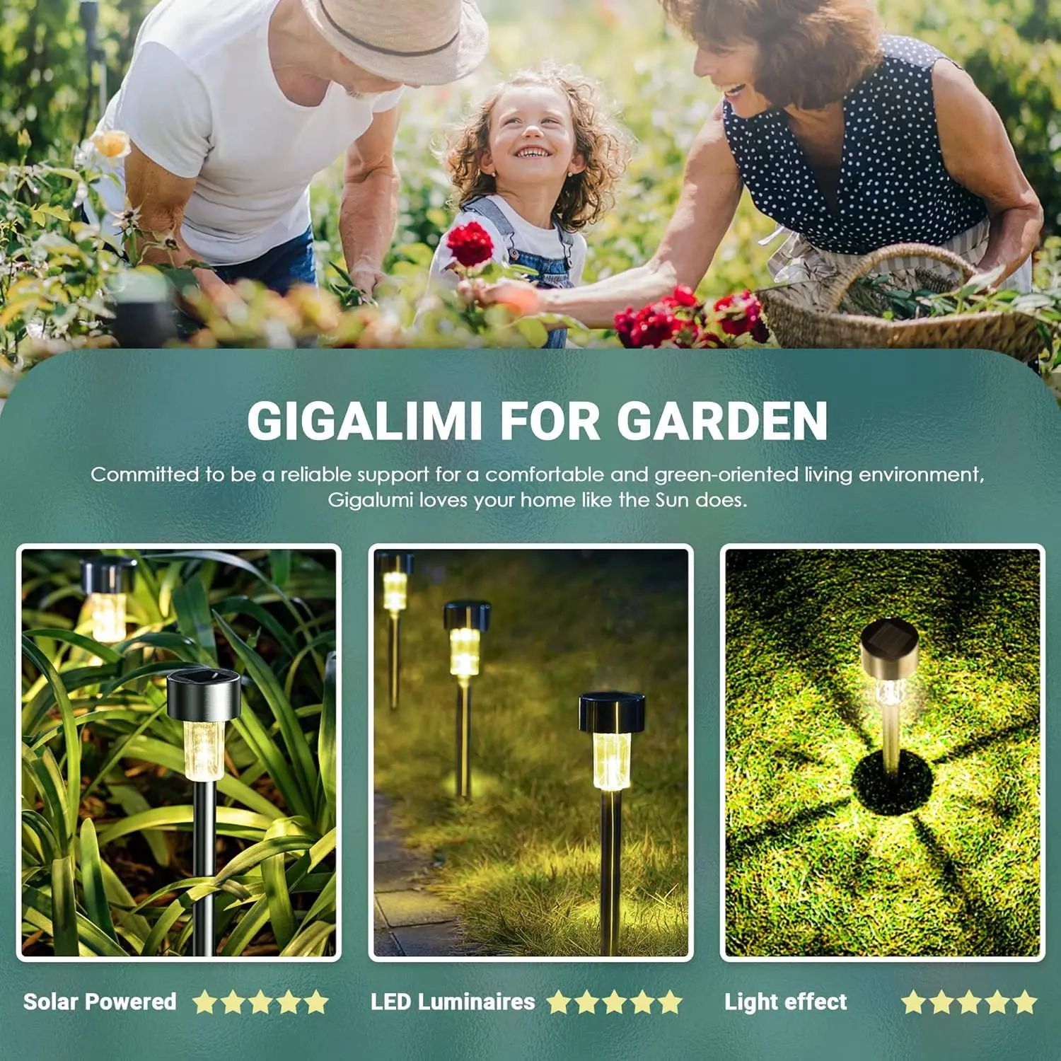 10 Piece Solar LED Garden Path Lights Set