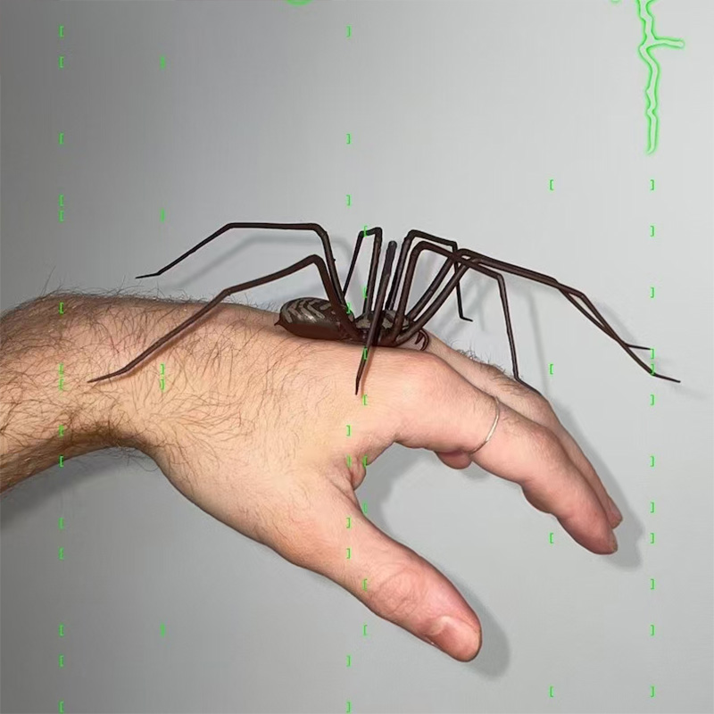Spider Magnet Home Decor Accessories, Fun Novelty Magnetic Fridge Decor