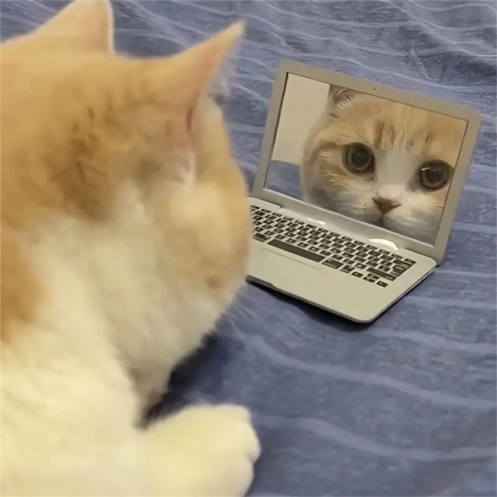 Interactive Mini Dollhouse Laptop Toy for Cats Tiny Fake Computer Mirror for Kitten Play