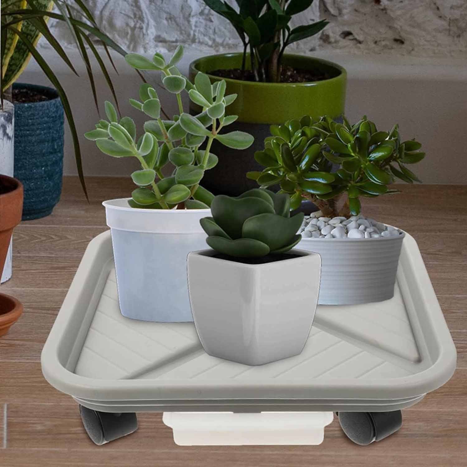 Wheeled Garden Rolling Plant Rack, Four Wheels, Drainage Tray for Square Pots