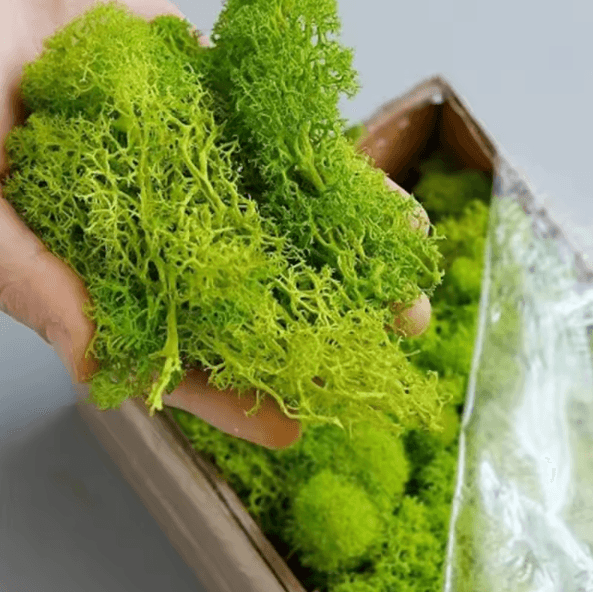 Artificial Moss Grass – Realistic Mini Landscape Moss for DIY Crafts, Home & Garden Decor