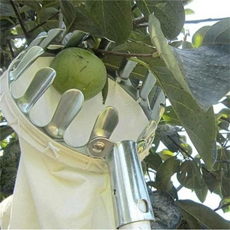 Heavy-Duty Metal Fruit Picker – Professional High-Tree Harvest Tool
