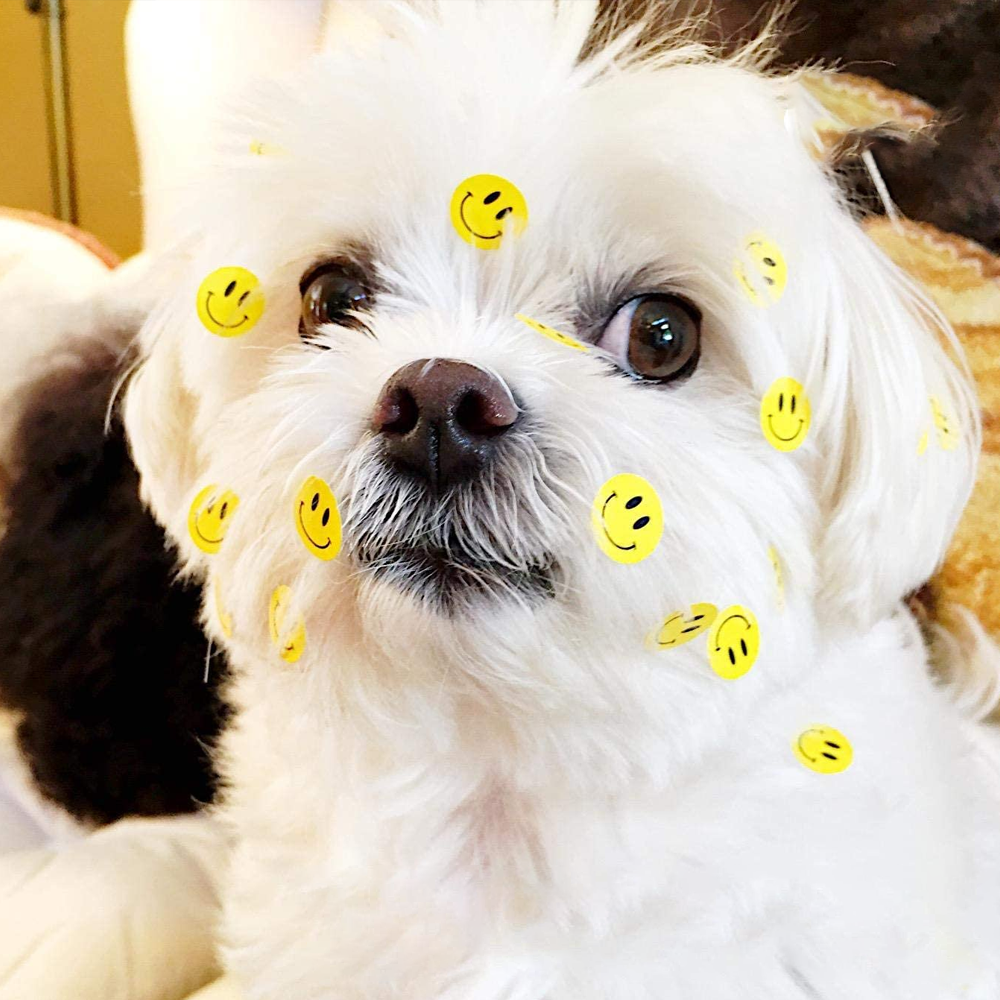500 PCs Multipurpose Smiley Face Sticker Roll
