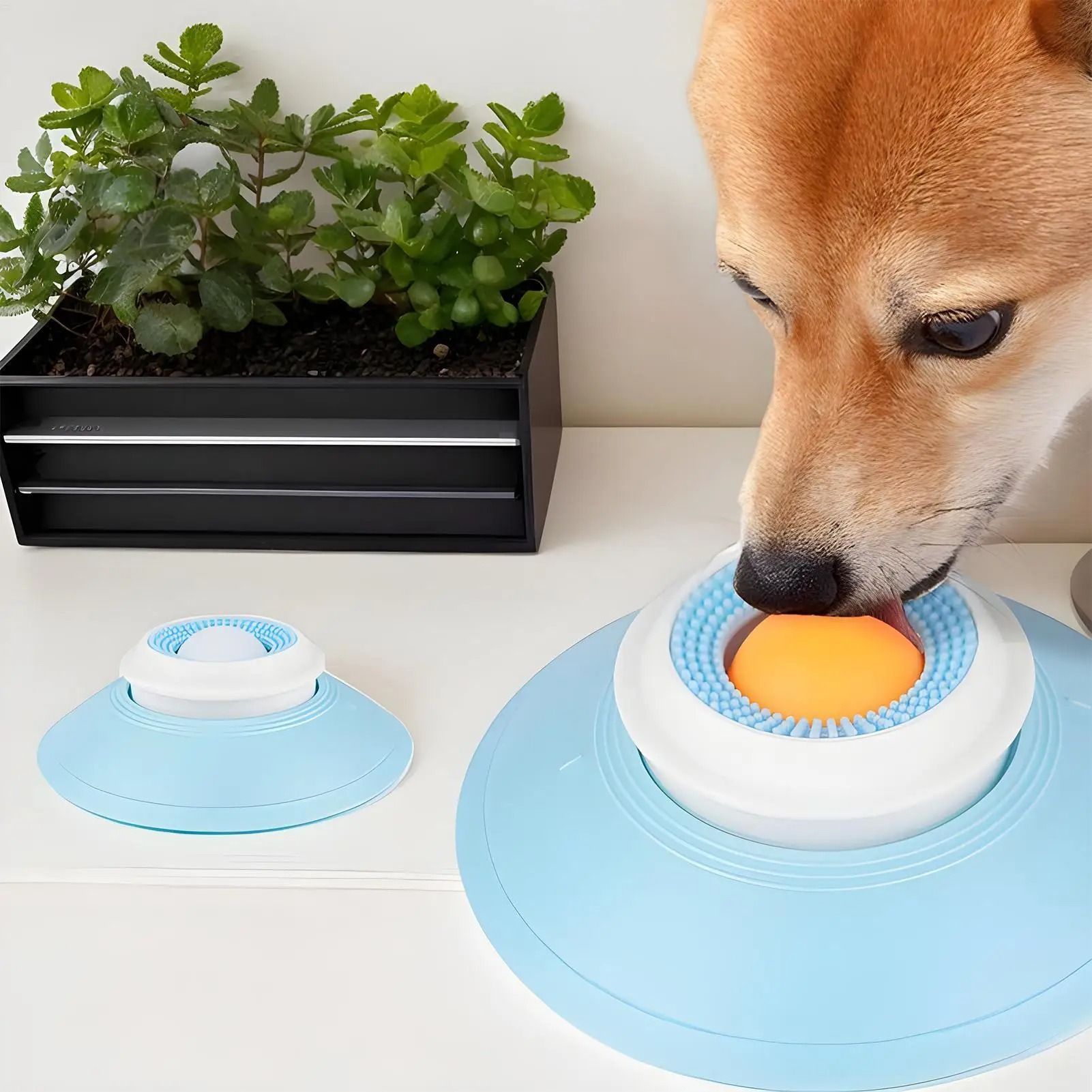 Dog Licking and Feeding Mat