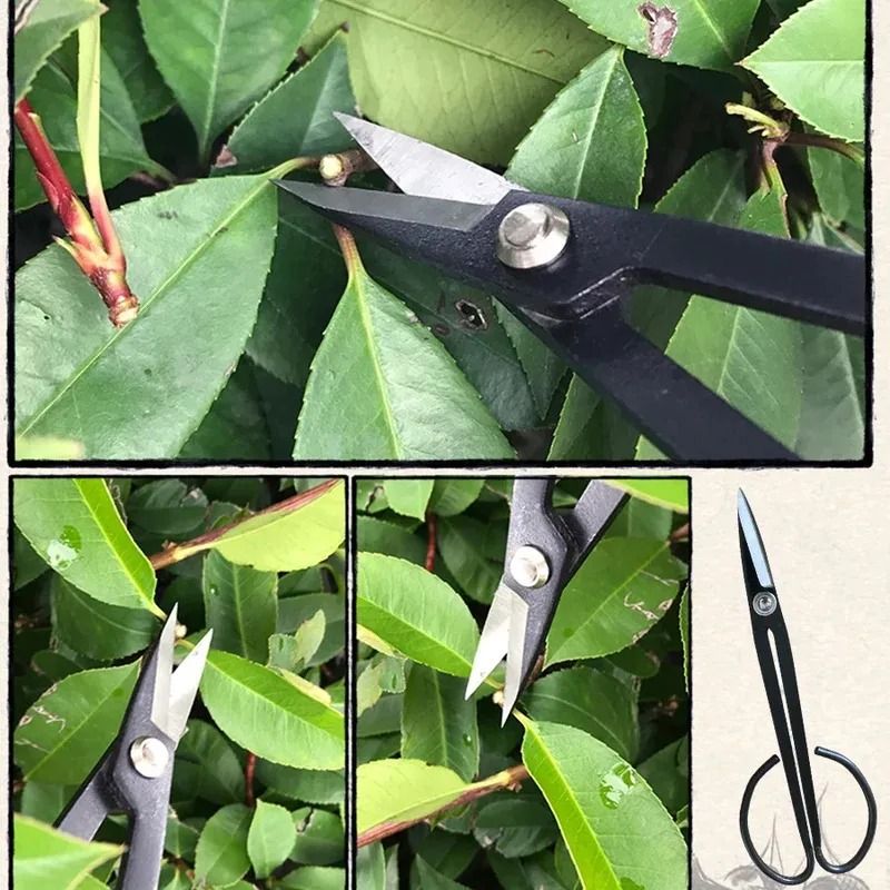 Steel Long-Handle Bonsai Scissors – Precision Pruning & Grafting Tool