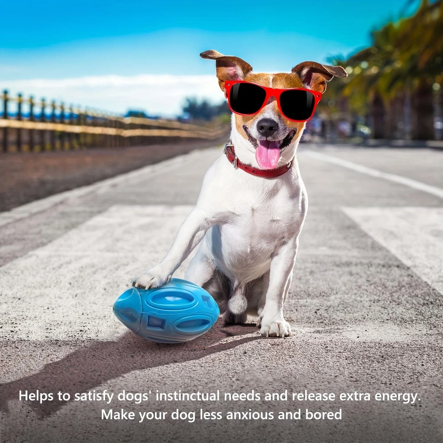 Ultra Durable Squeezing Rubber Dog Ball