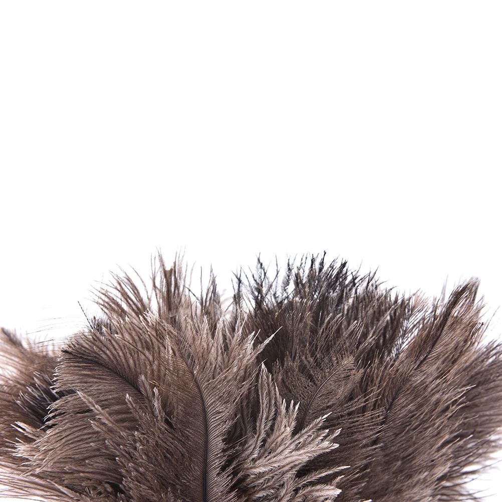 Ostrich Feather Duster with Wooden Handle 55cm