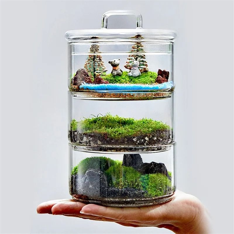 Micro Landscape Moss Plants Glass Bottle With Lid