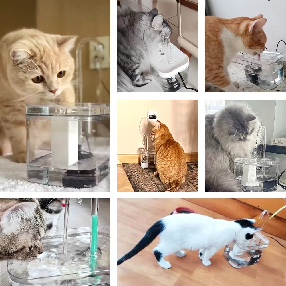 Automatic Ultra-Quiet Transparent Pet Water Fountain