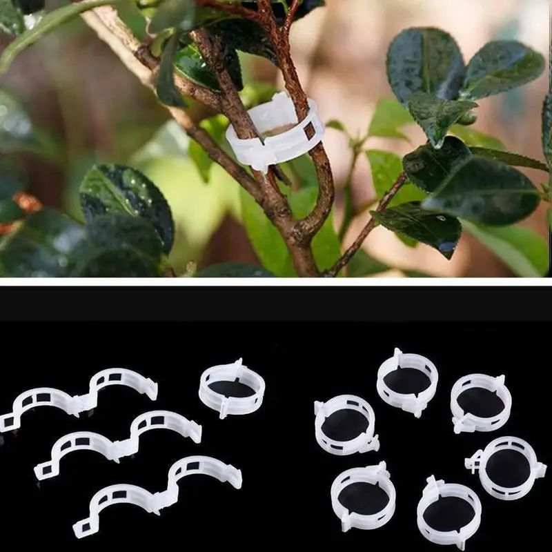 Reusable Plant Support Clips for Vines - Plastic Trellis Stem Fixing Connectors for Garden, Orchard & Climbing Plants