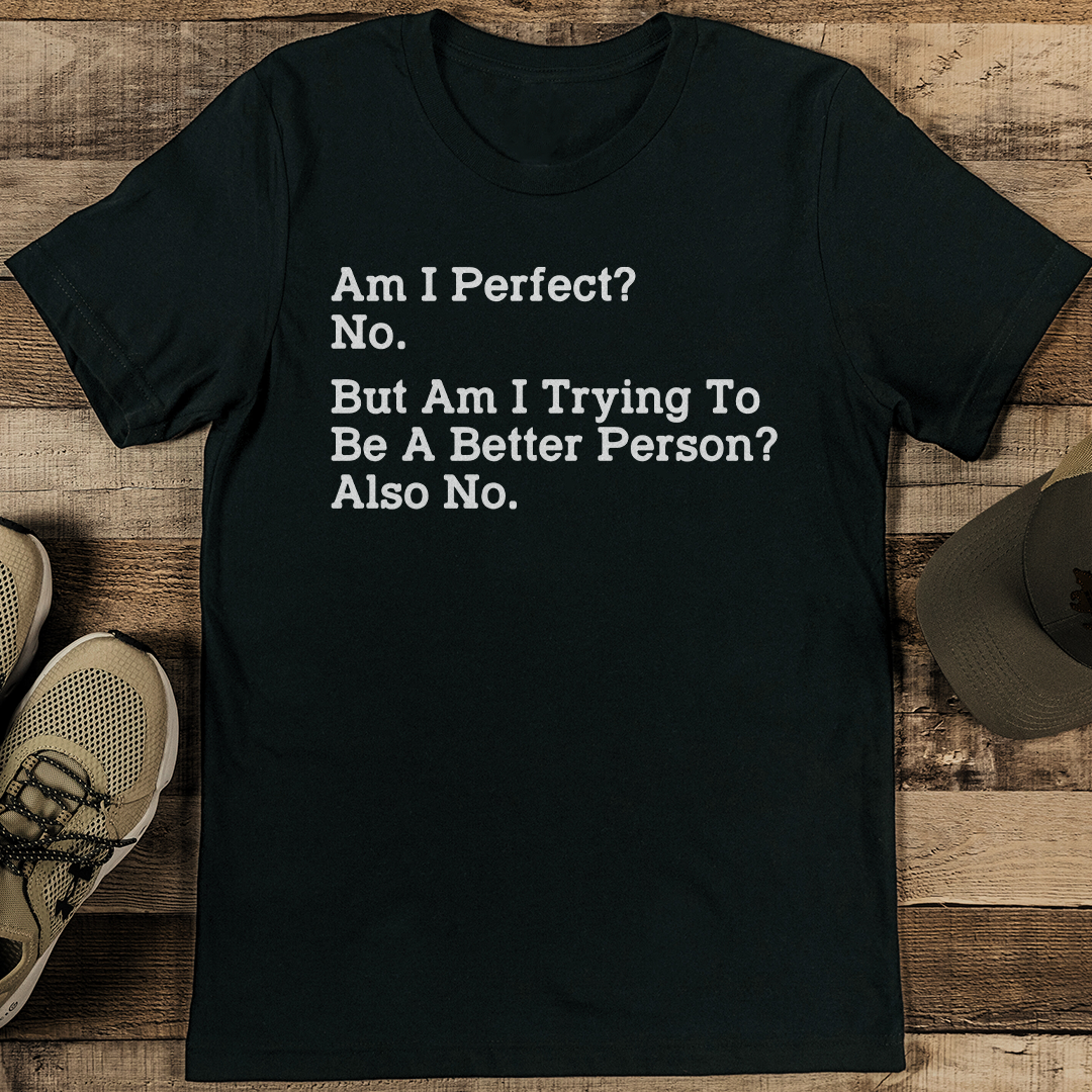Am I Perfect No But Am I Trying To Be A Better Person Also No Tee