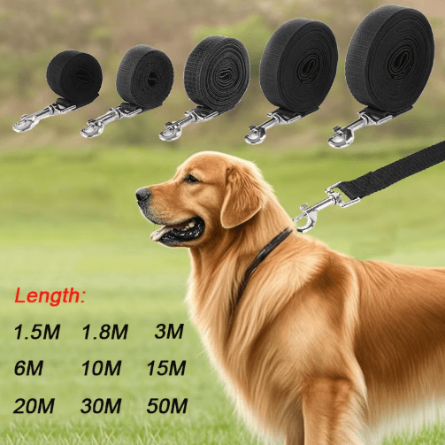 Extra Long Nylon Dog Training Leash for Outdoor Training & Walking (10m/15m/20m)
