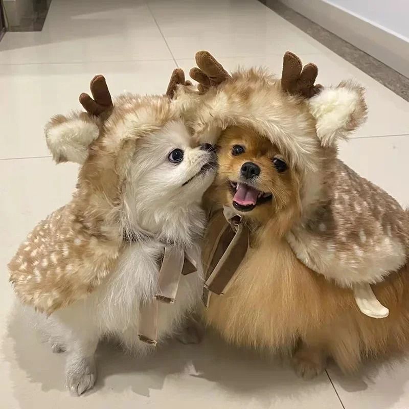 Cozy Elk Christmas Pet Cloak for Winter Warmth and Holiday Dress Up