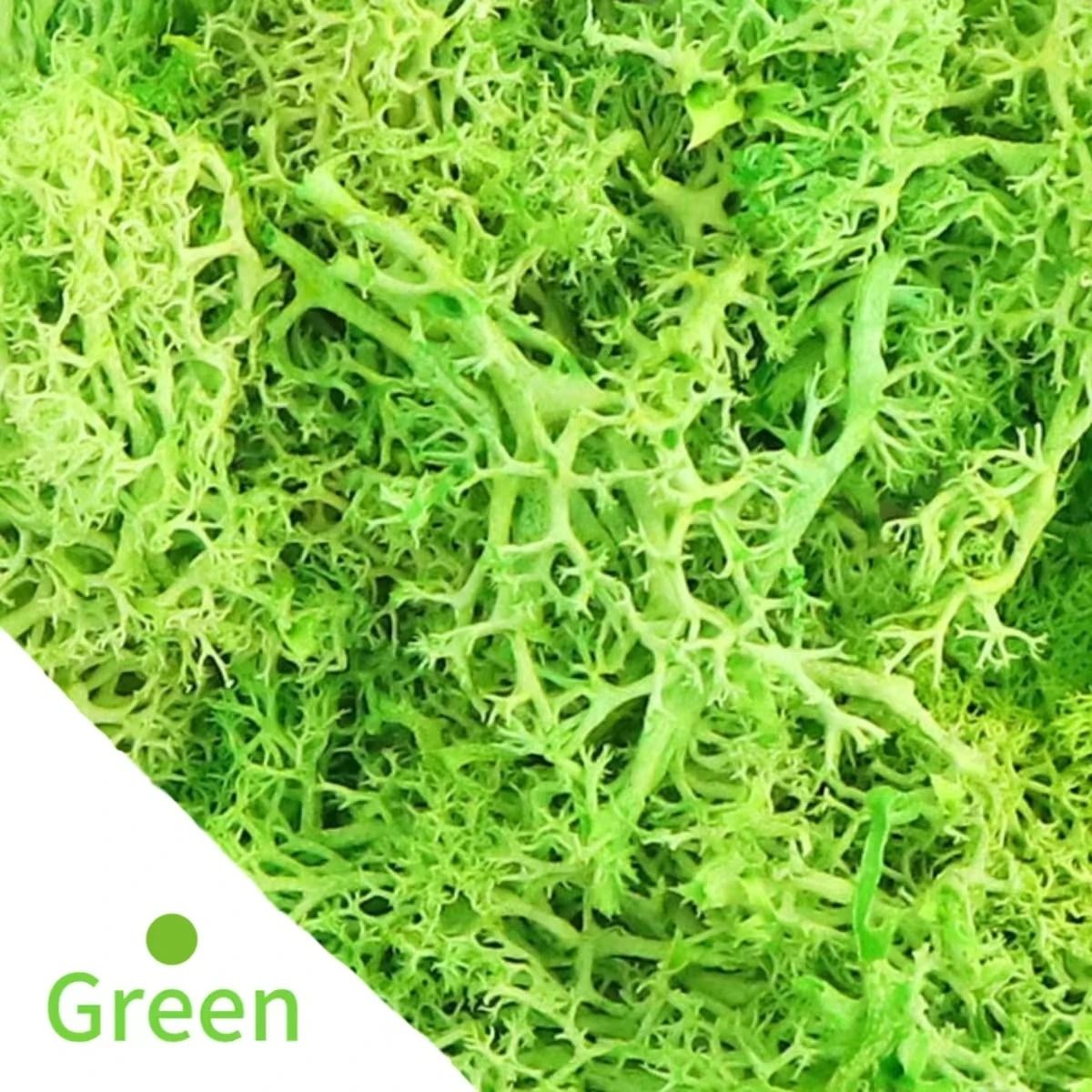 Natural Green Simulation Eternal Moss