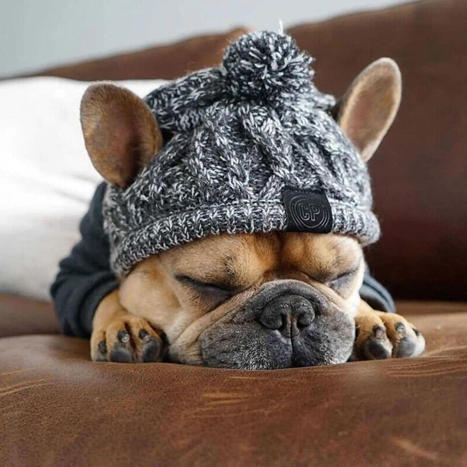 CozyPaws Windproof Knitted Winter Dog Hat with Fluffy Pom Pom