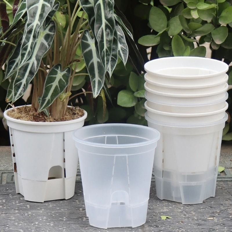Transparent Self-Watering Plant Pot – High-Performance Plastic Planter with Precision Drainage Holes
