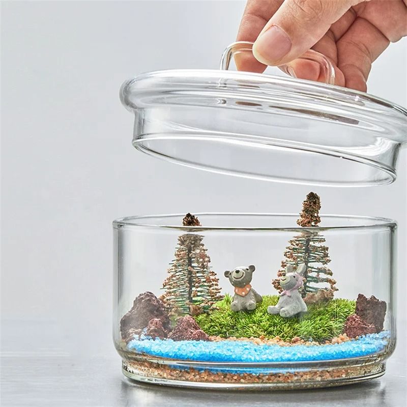 Micro Landscape Moss Plants Glass Bottle With Lid