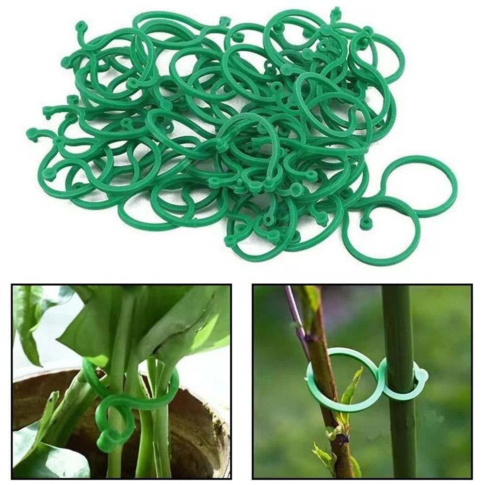 Figure Eight Plant Clips Plastic Garden Vine Ties for Trellis Support and Stem Fixing 50 or 100 Pack