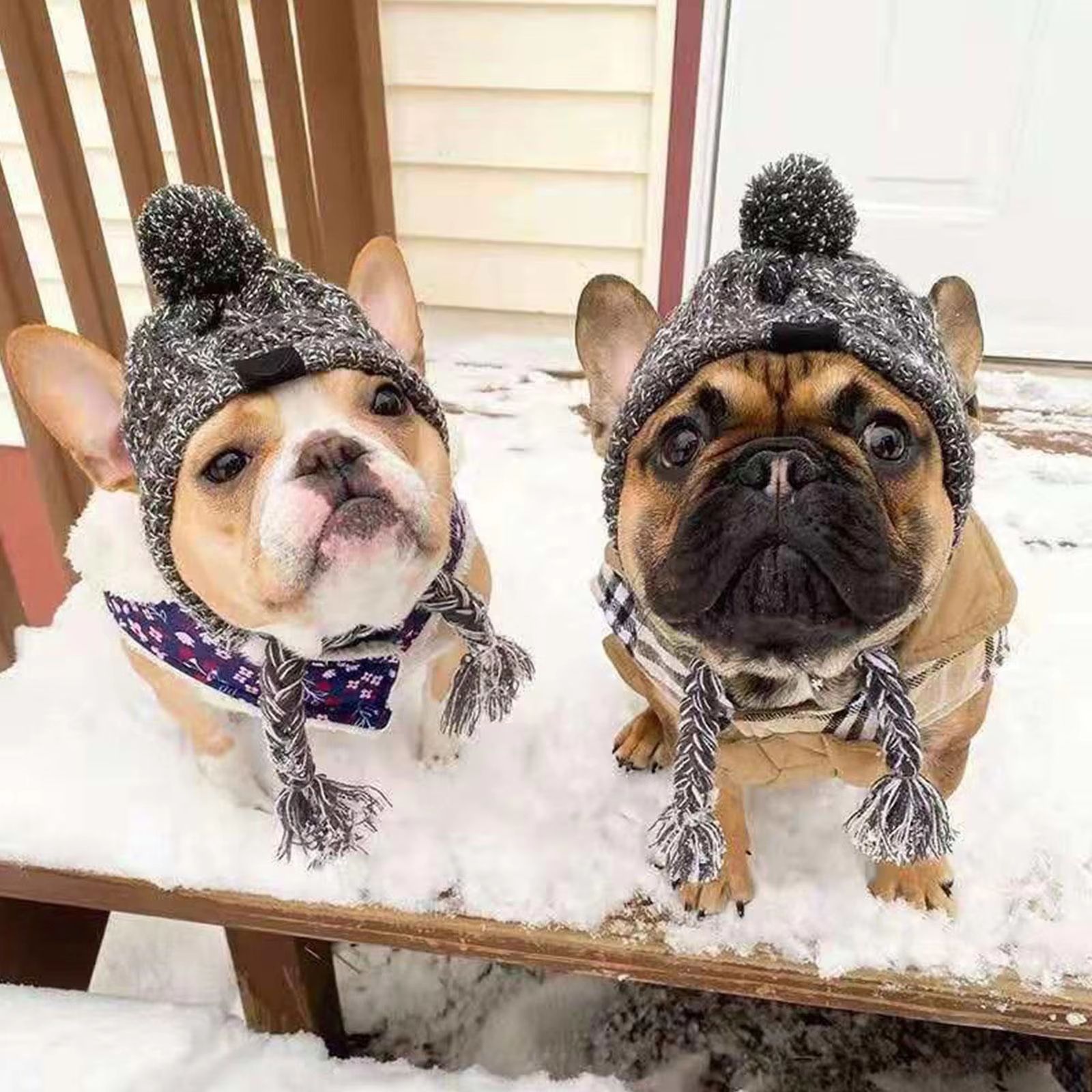 CozyPaws Windproof Knitted Winter Dog Hat with Fluffy Pom Pom