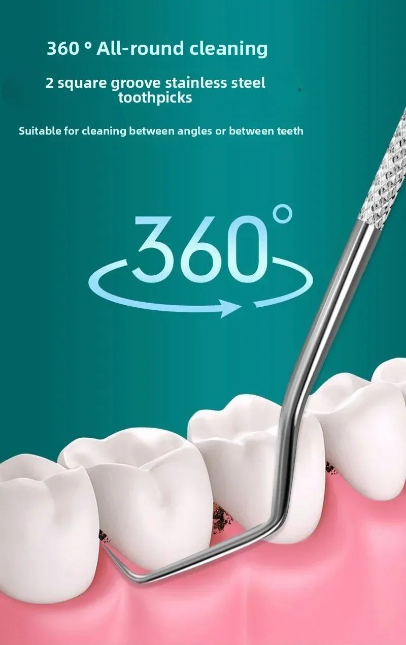 Stainless Steel Reusable Toothpick Set