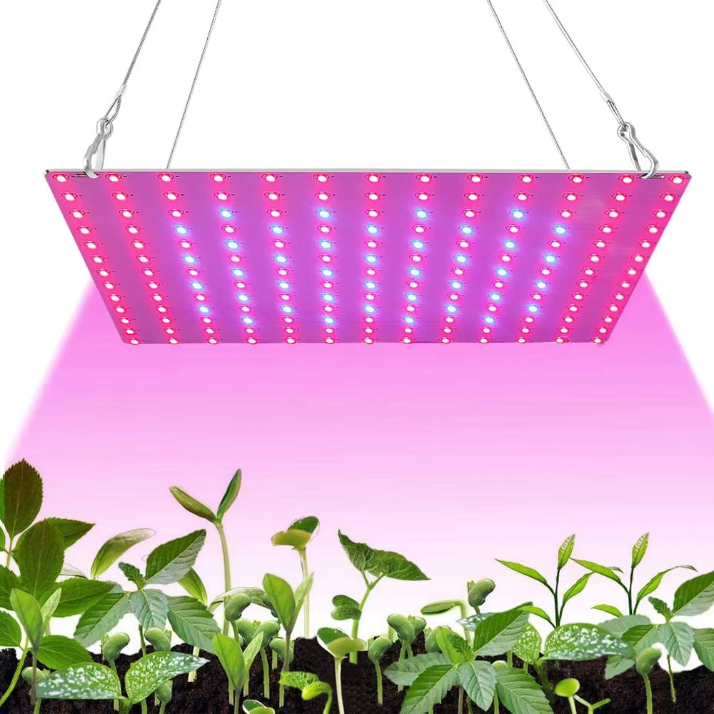 LED Full Spectrum Plant Grow Light 1000W/2000W for Indoor Hydroponics