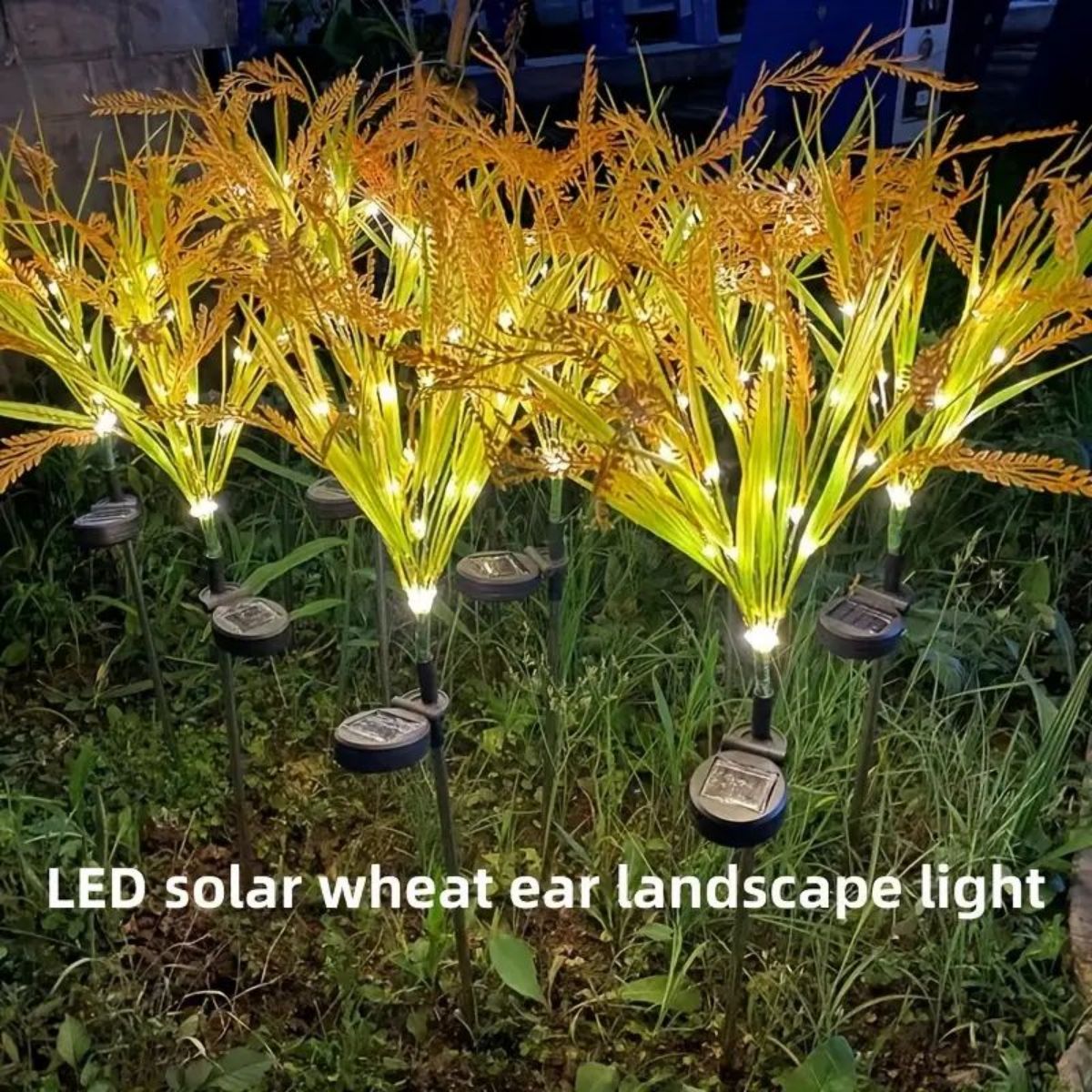Dusk to Dawn LED Courtyard Decor, Waterproof Outdoor Lighting for Autumn Seasons, Vibrant Autumn Wheat Solar Pathway