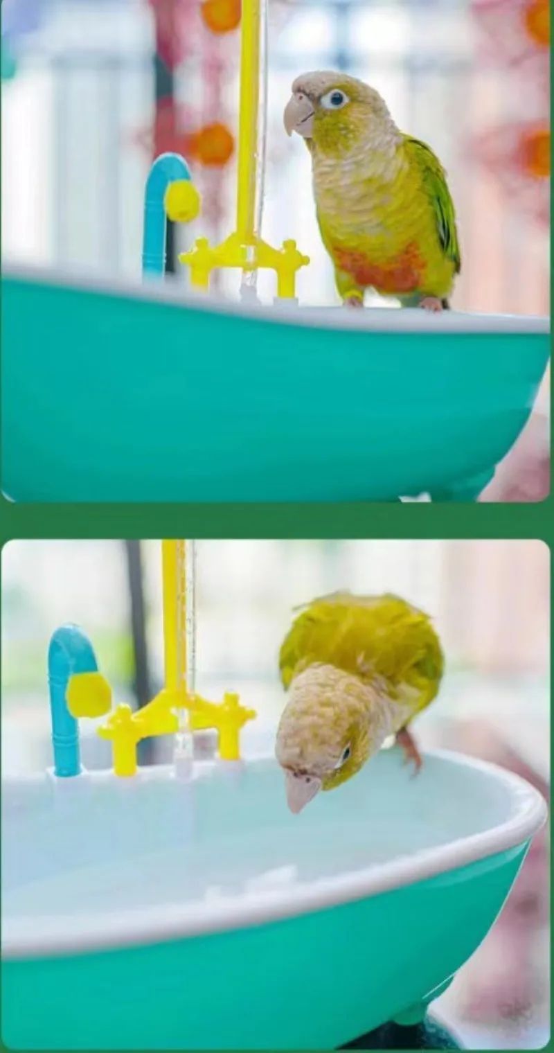 Automatic Parrot Bird Bath Shower
