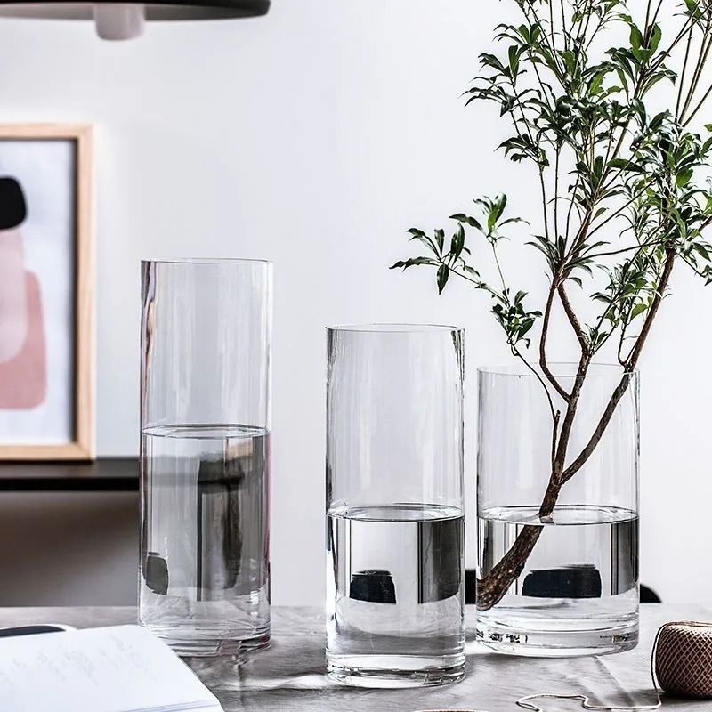 Desktop Glass Planter and Transparent Cylinder Vase