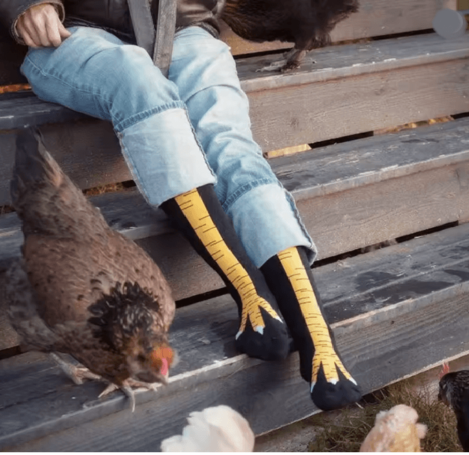 Funny Chicken Print Thigh High Socks